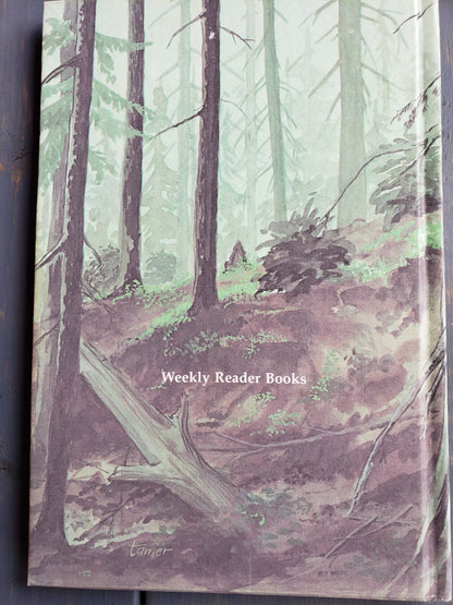 The Boy Who Saw Bigfoot by Marian T. Place (1979)