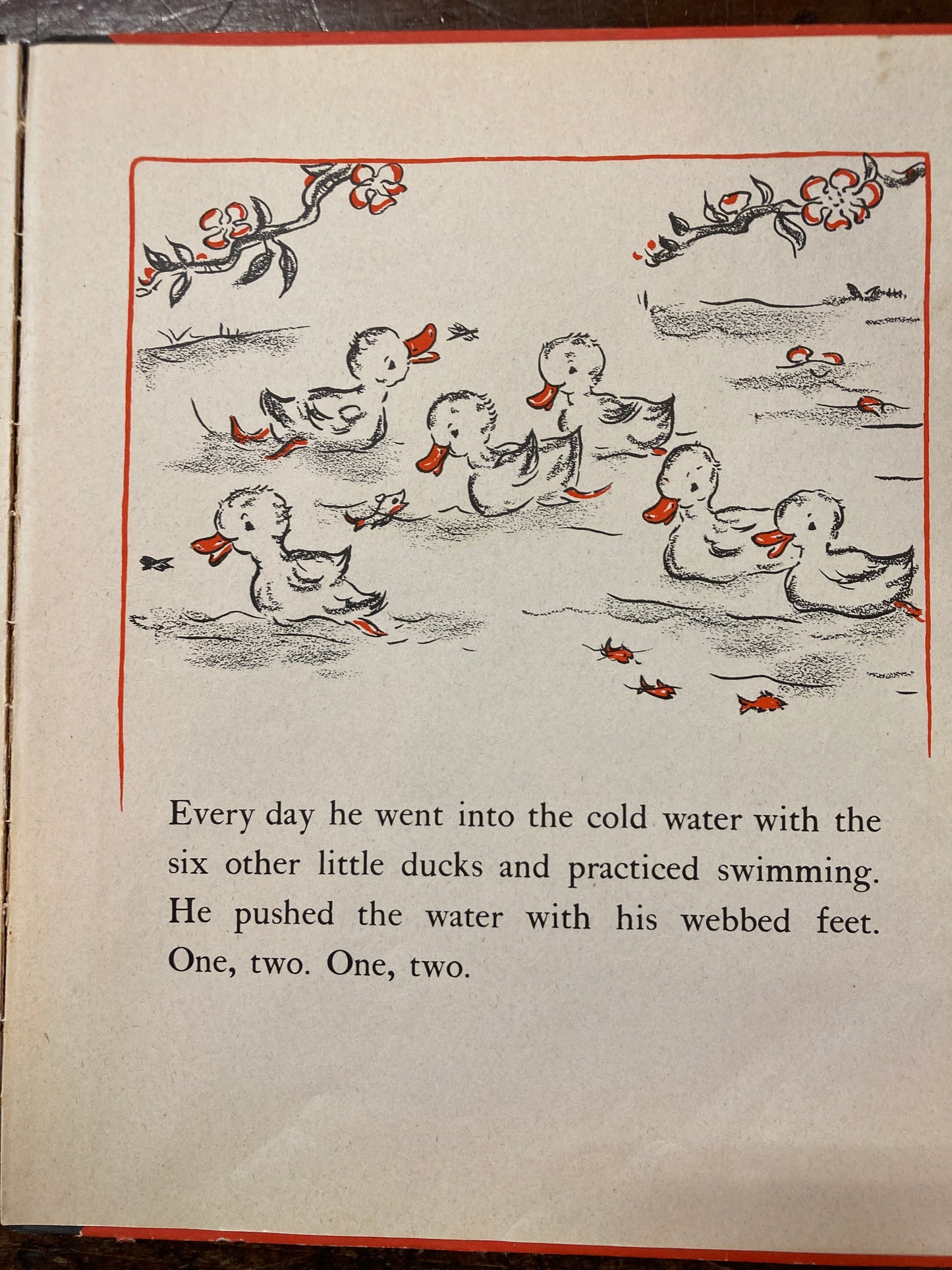 Seven Diving Ducks