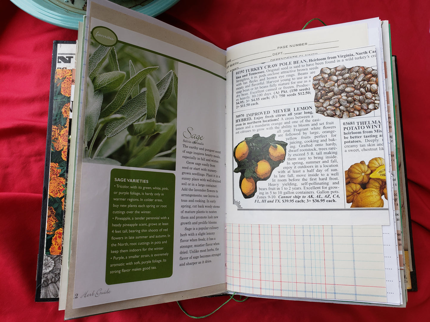 Gardening Journal