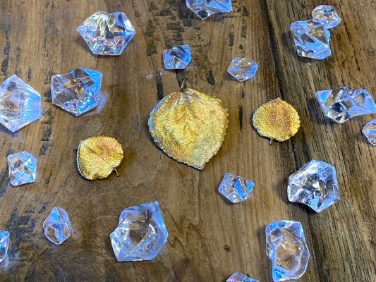 Aspen Leaf Clip on Earrings and Pin set