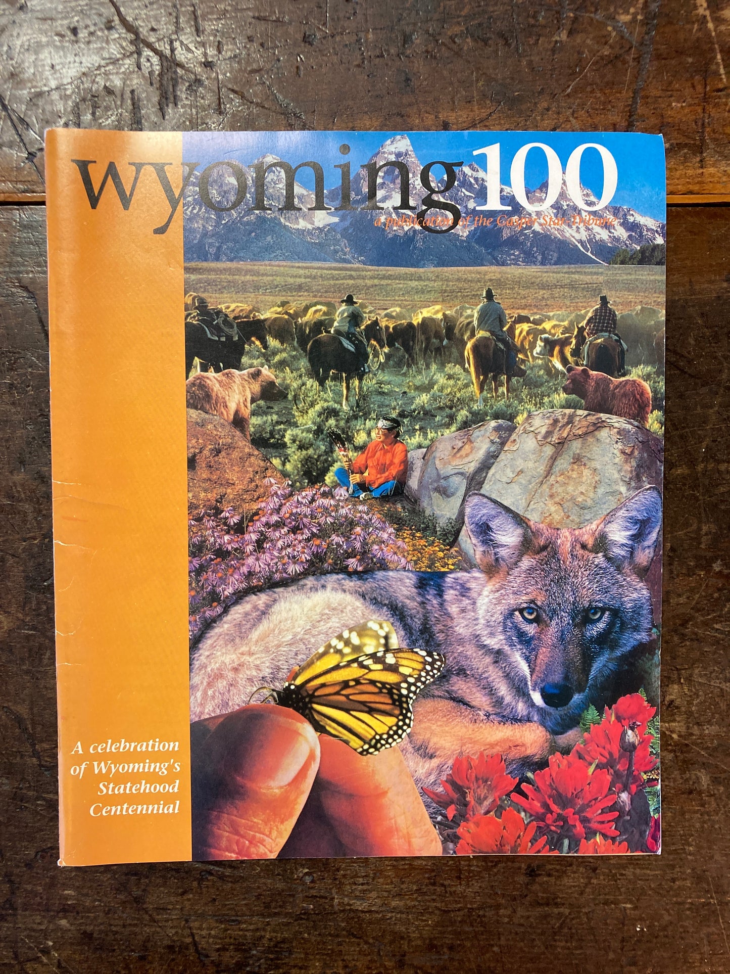 Wyoming 100 book