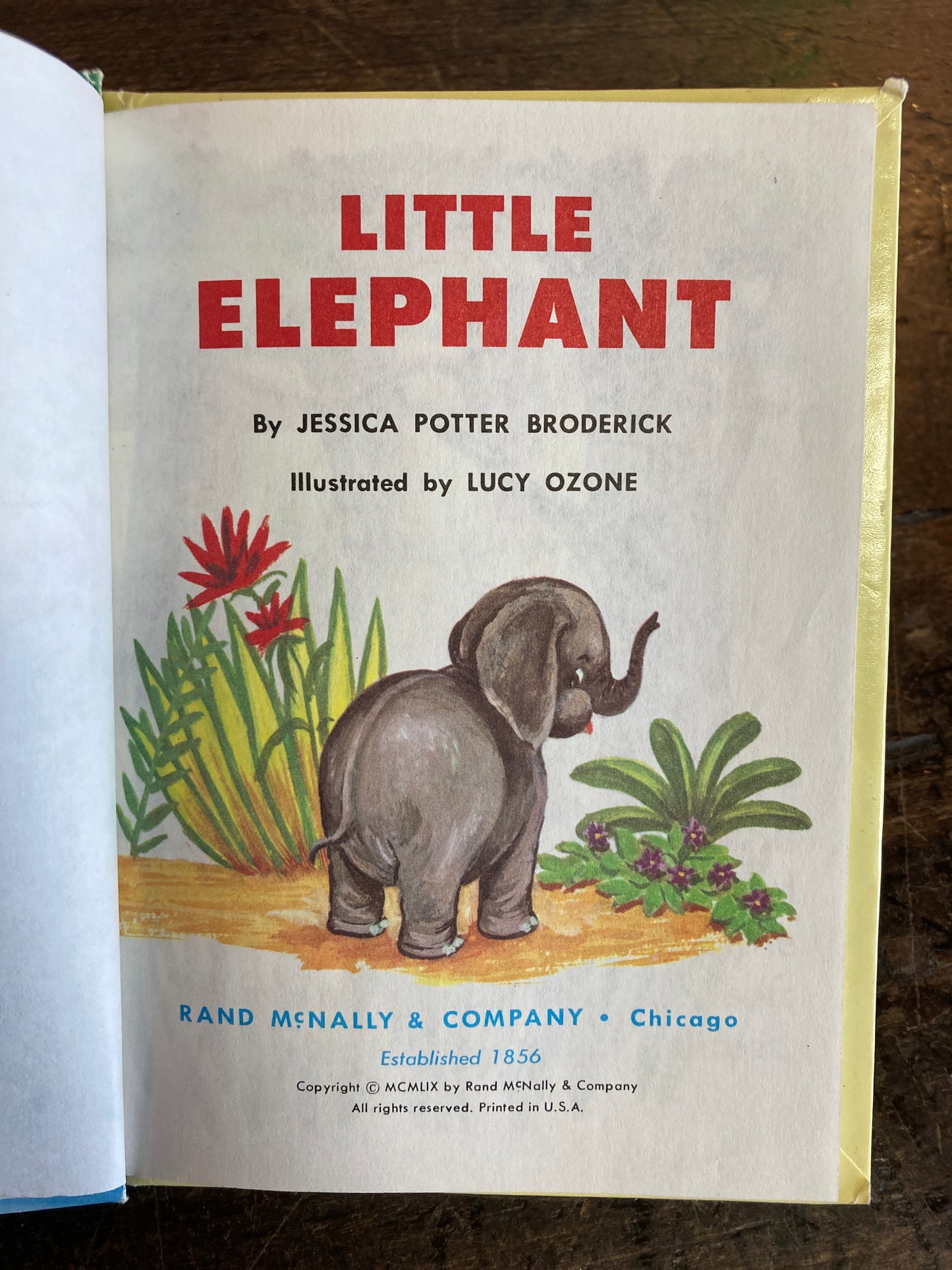 Little Elephant