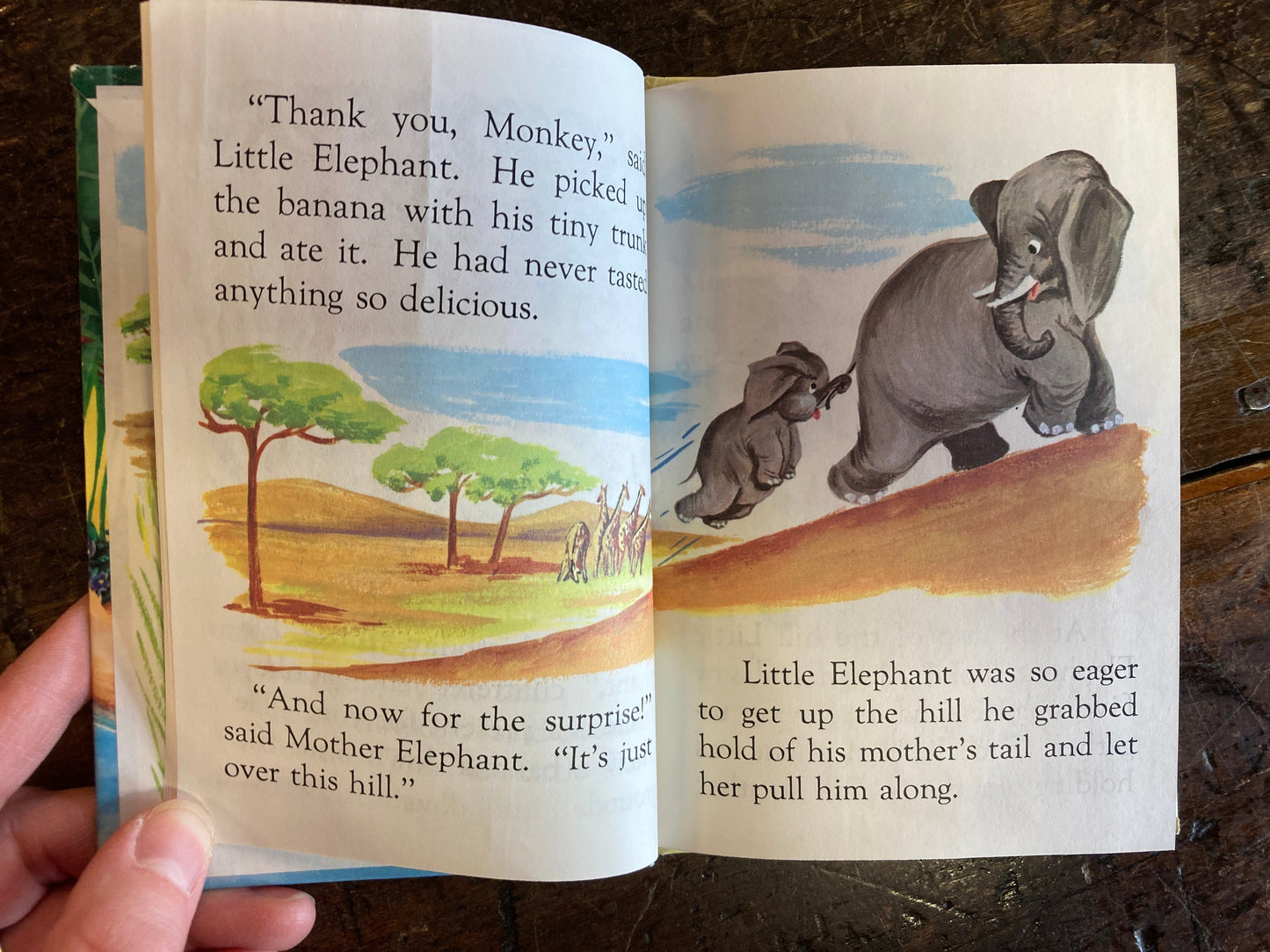 Little Elephant