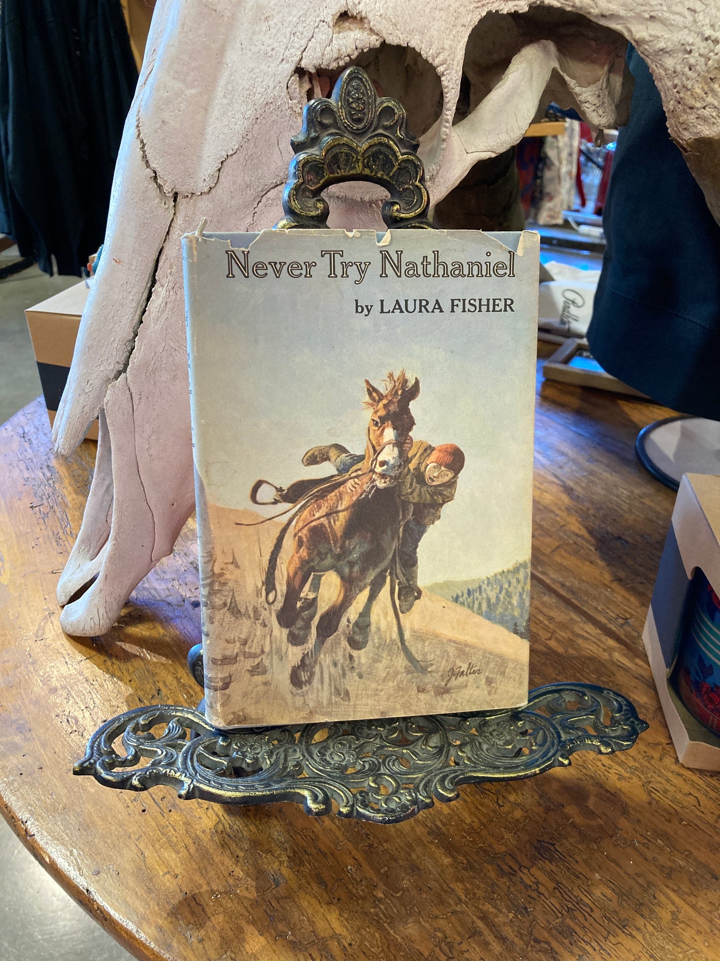 Never Try Nathaniel by Laura Fisher