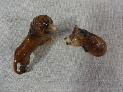 Lion and lioness salt pepper shaker set